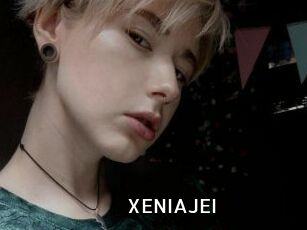 XENIA_JEI