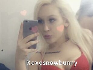 Xoxosnowbunny My Porno Stash