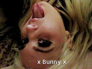 _x_Bunny_x_
