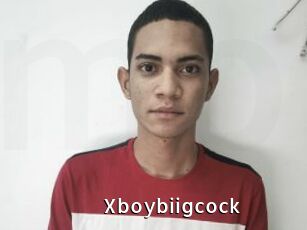 Xboybiigcock