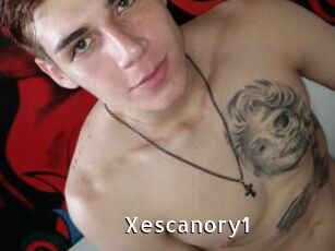 Xescanory1
