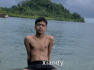 Xiandy