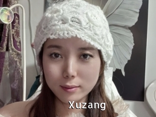 xuzang My Porno Stash
