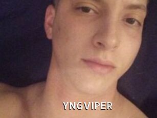 YNGVIPER