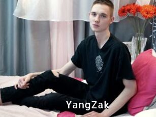 YangZak