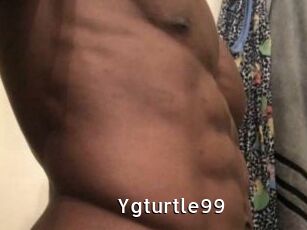 Ygturtle99