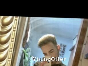 YoungOtter