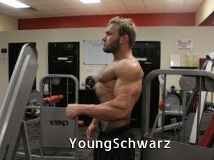 YoungSchwarz