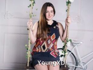 YoungXDi