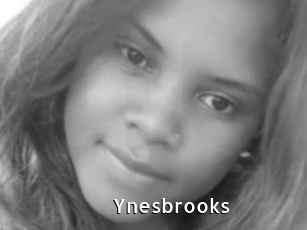 Ynesbrooks