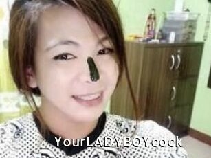 YourLADYBOYcock