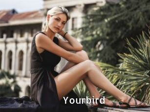 Yourbird