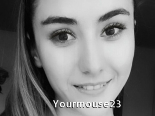 Yourmouse23