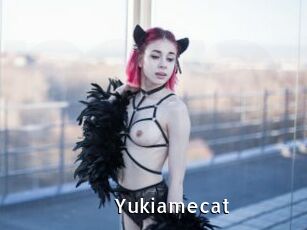 Yukiamecat