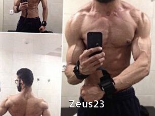 Zeus23