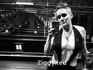 ZiggyRed