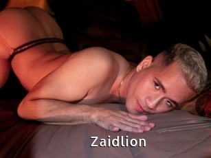 zaidlion My Porno Stash