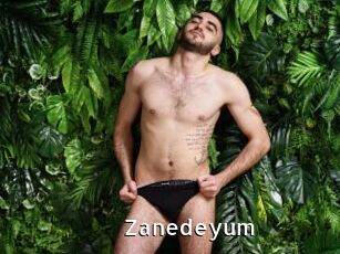 Zanedeyum