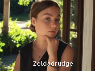 Zeldadrudge
