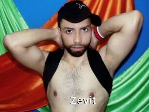 Zevit