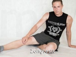 Zongfestt